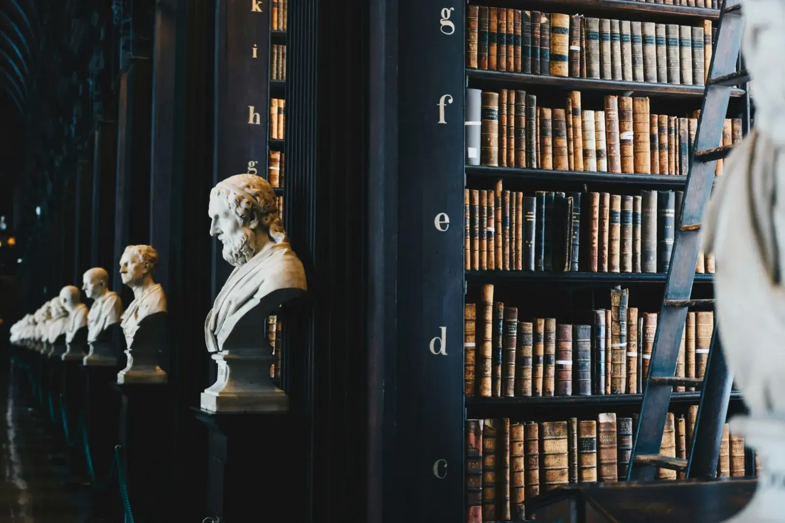 Bustes en boekenkasten in een oude bibliotheek